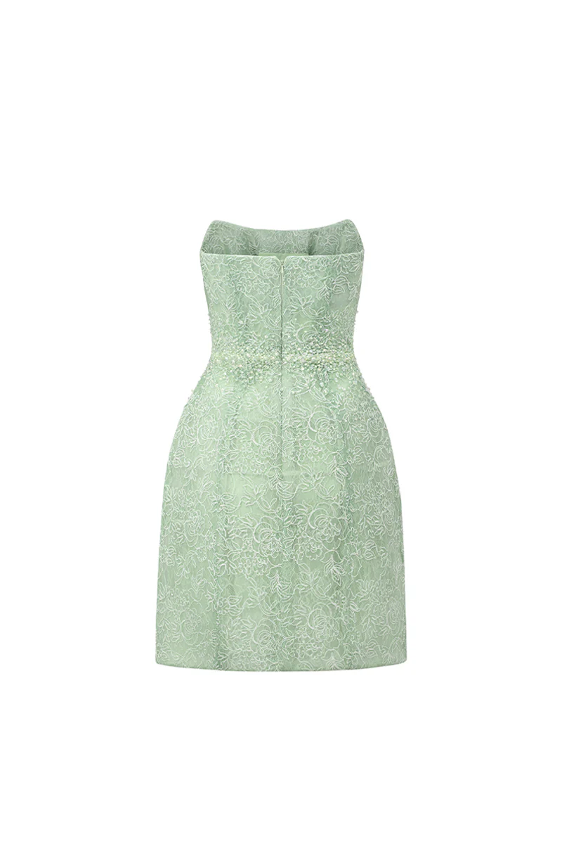 Penelope Straight Across Neck Lace Mini Dress