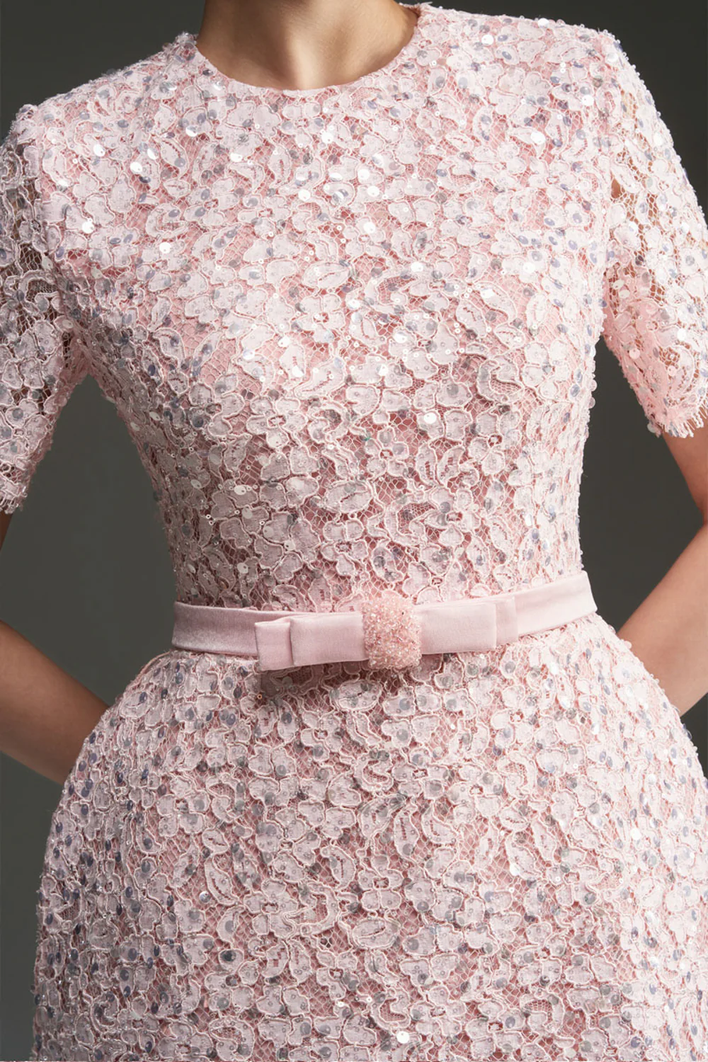 Gianna Regular Sleeve Lace Mini Dress