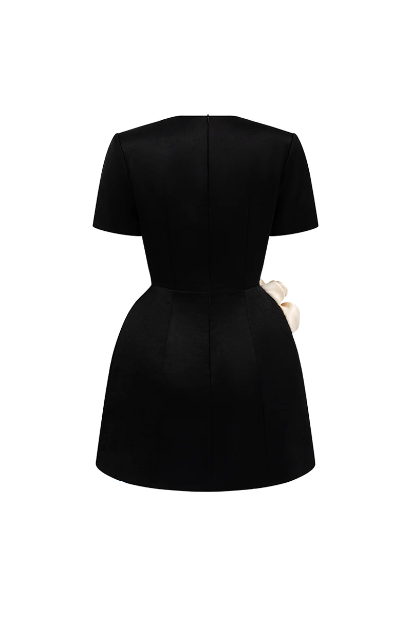 Rylan A-line Applique Mini Dress