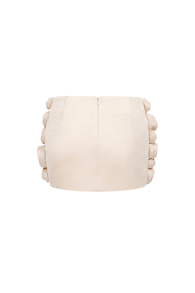 Alanna Bodycon Applique Skirt