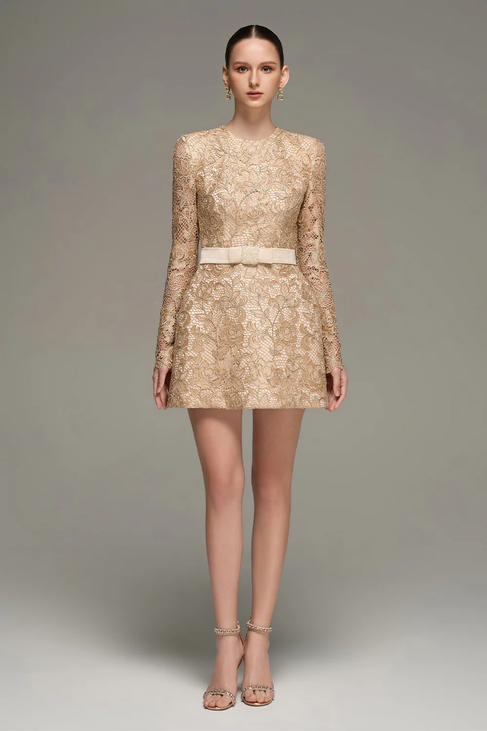 Alaina Long Sleeve Lace Mini Dress