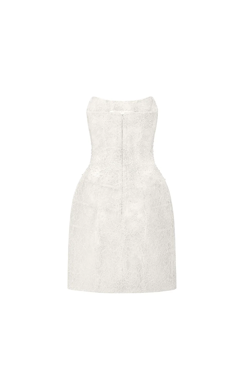 Penelope Straight Across Neck Lace Mini Dress