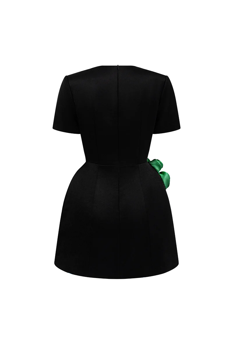 Rylan A-line Applique Mini Dress