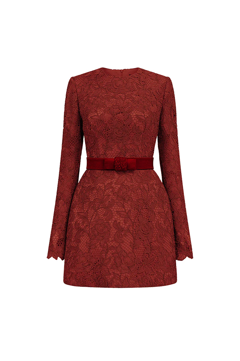 Alaina Long Sleeve Lace Mini Dress