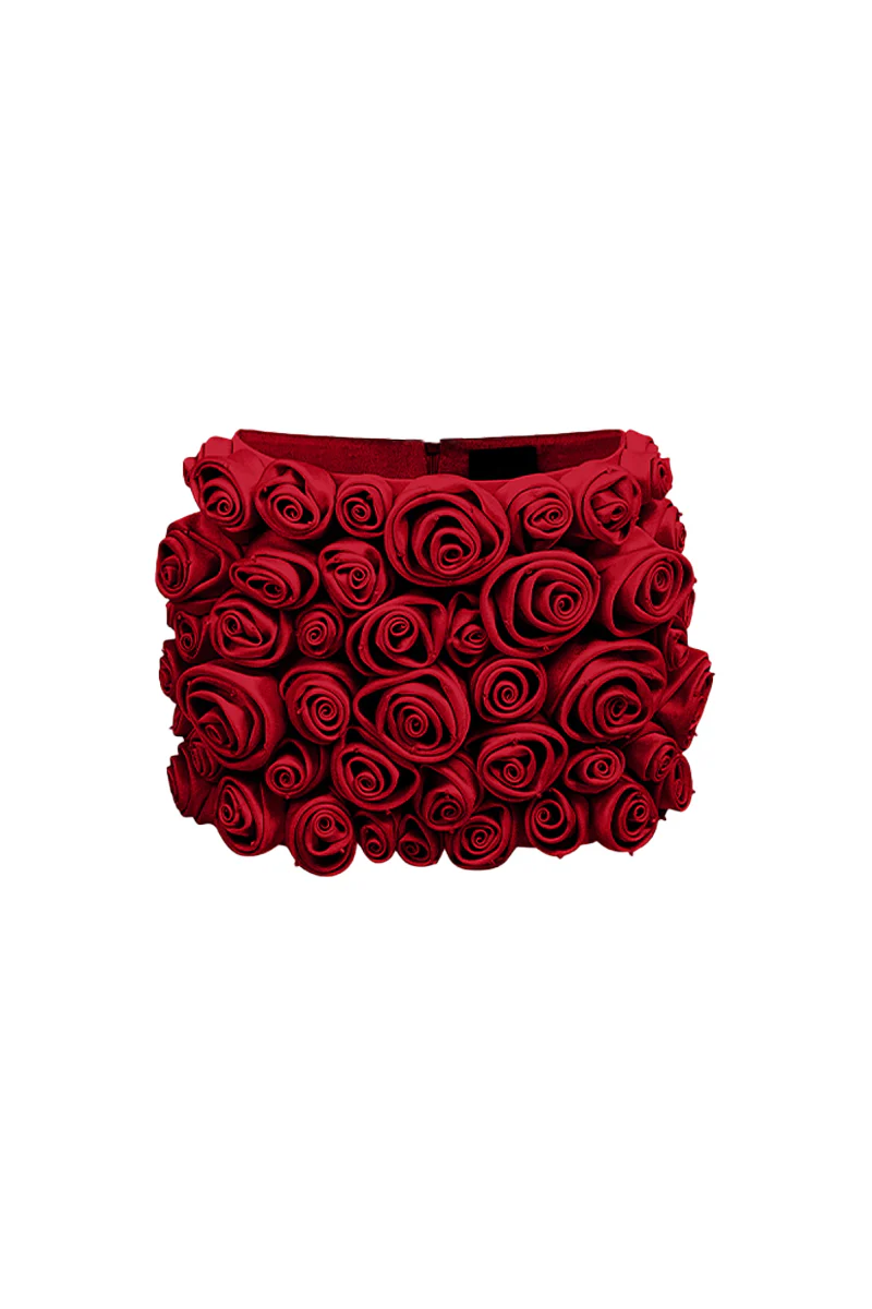 Alanna Bodycon Applique Skirt