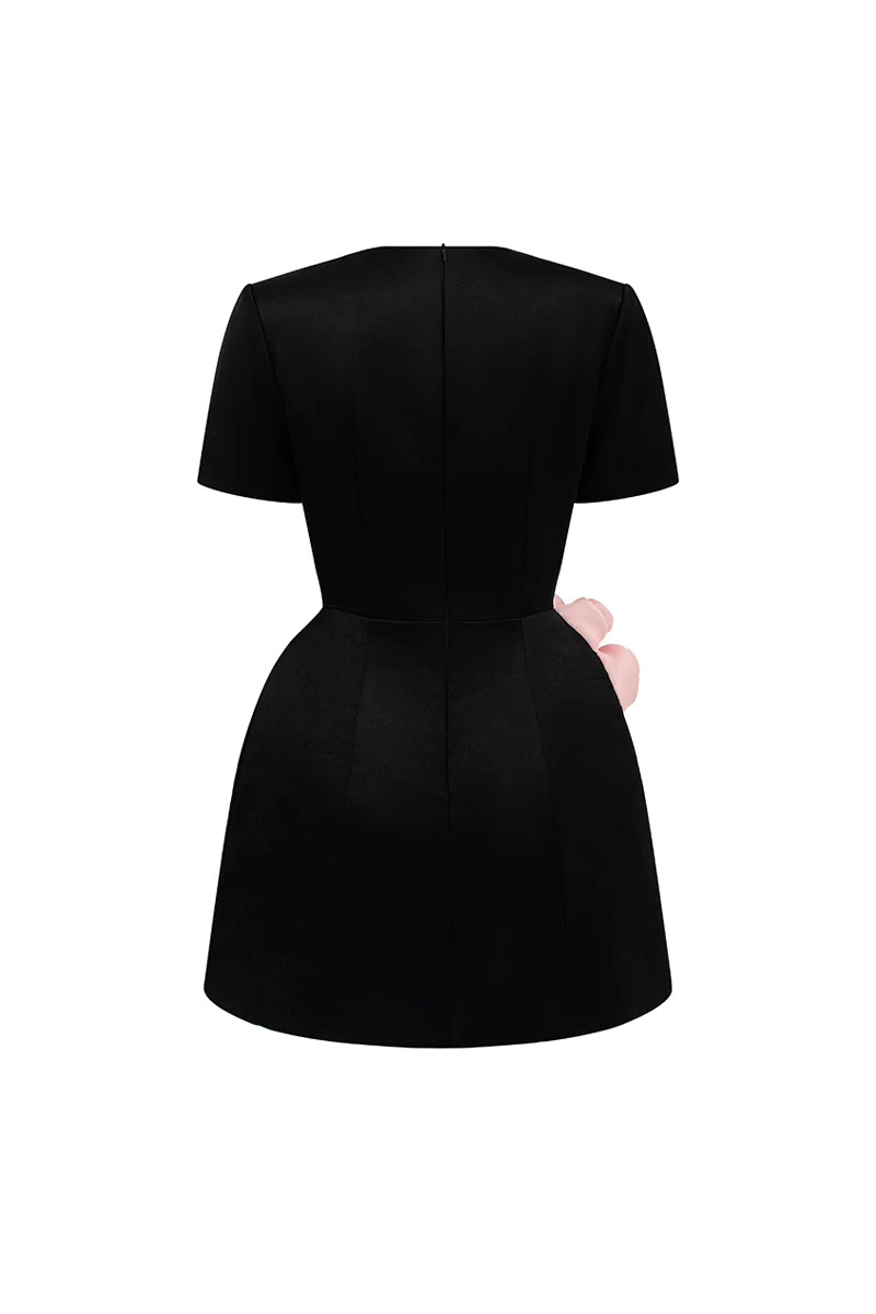 Rylan A-line Applique Mini Dress