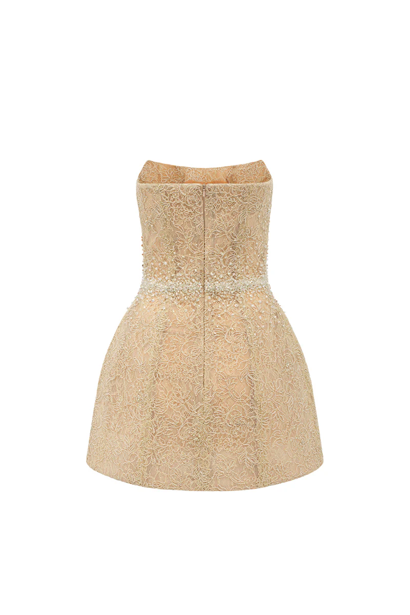 Mae A-line Lace Mini Dress