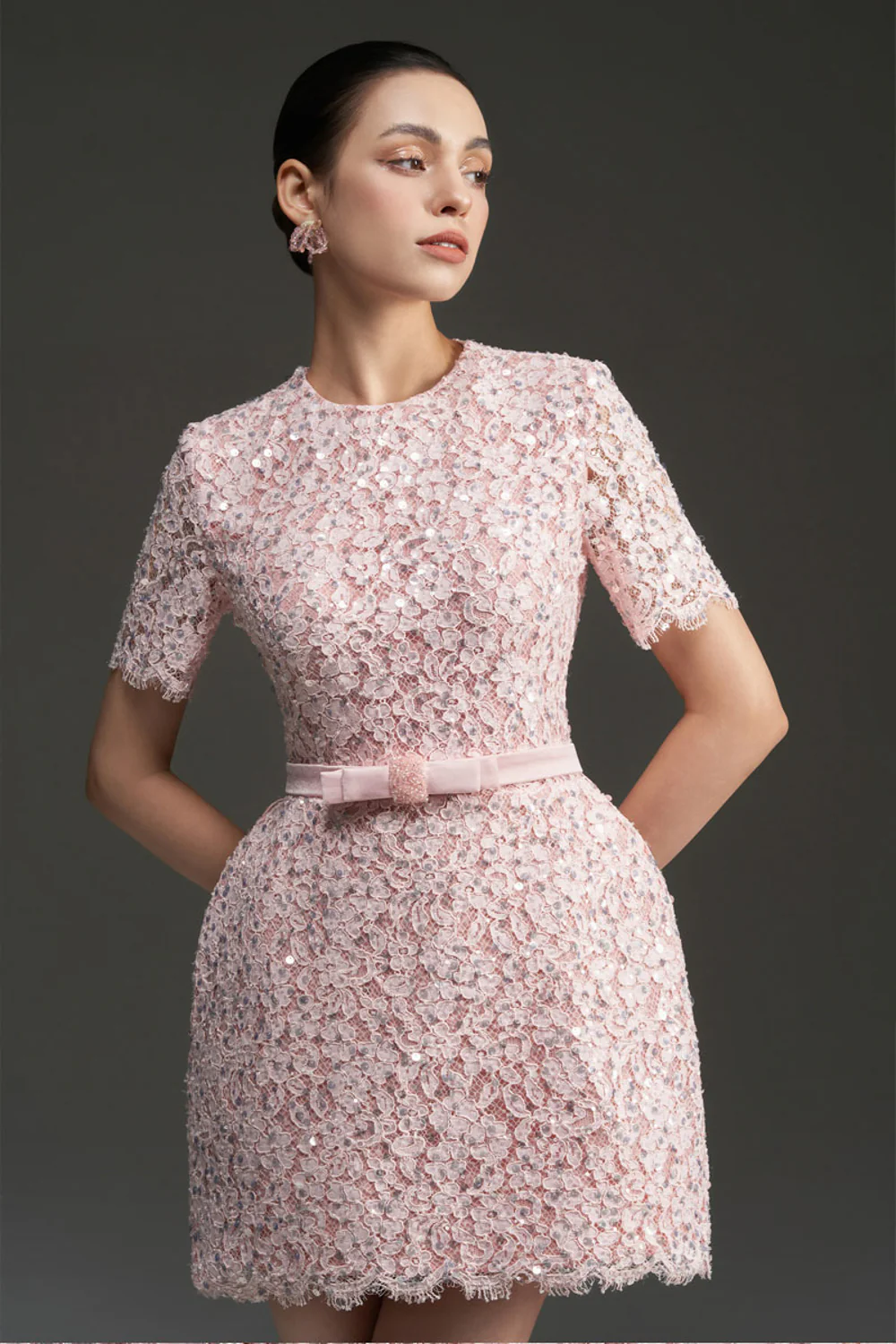 Gianna Regular Sleeve Lace Mini Dress