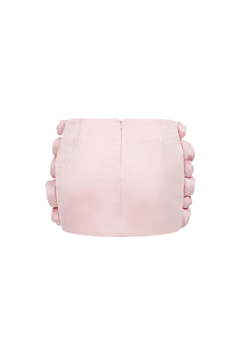 Alanna Bodycon Applique Skirt