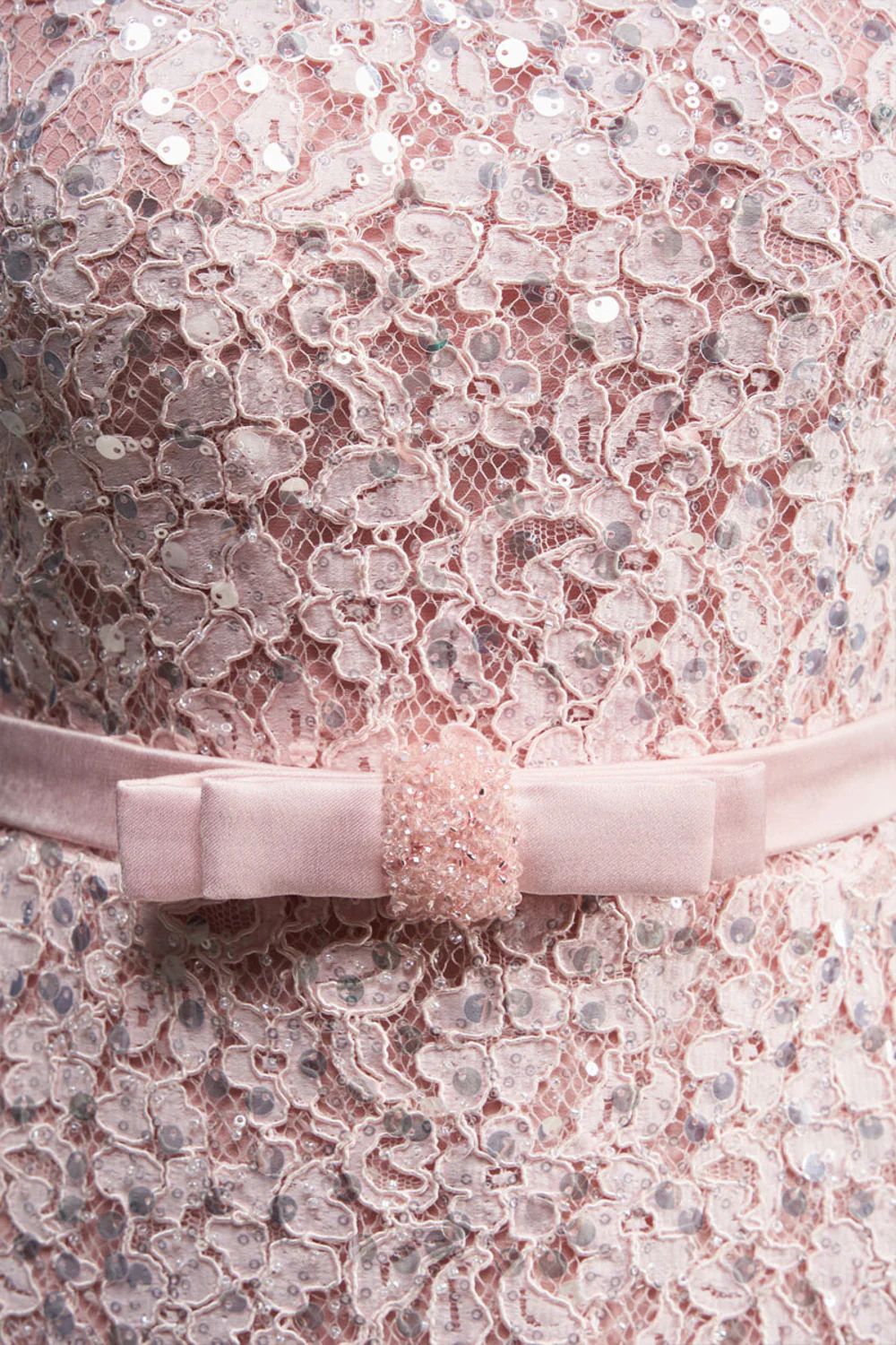 Gianna Regular Sleeve Lace Mini Dress