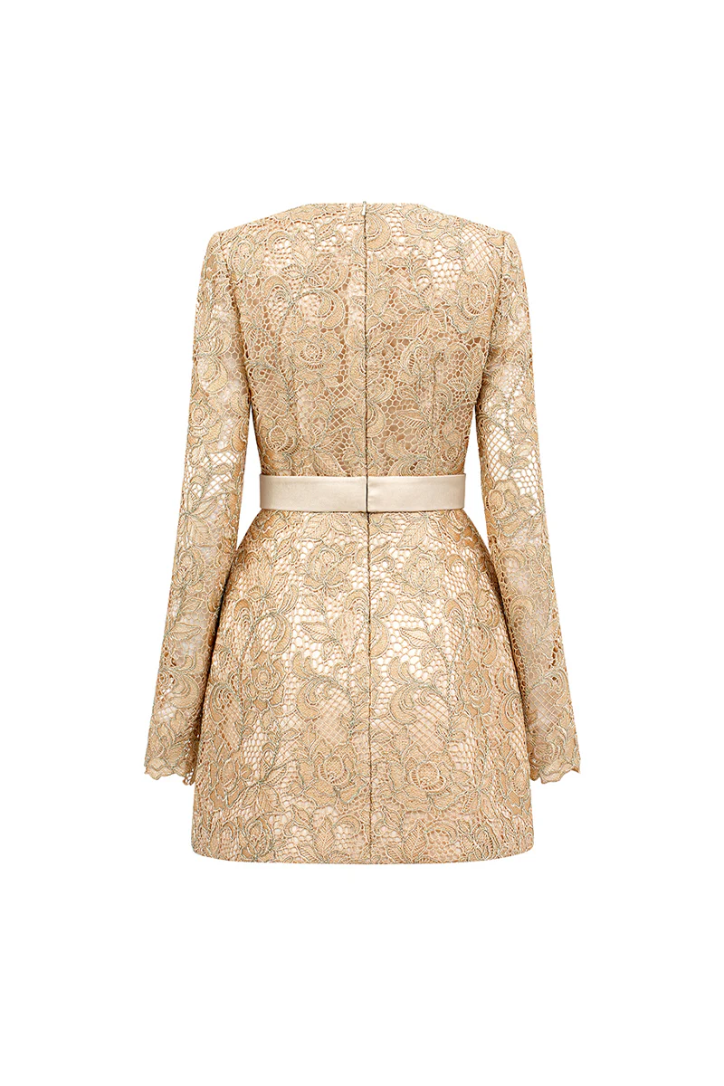 Alaina Long Sleeve Lace Mini Dress