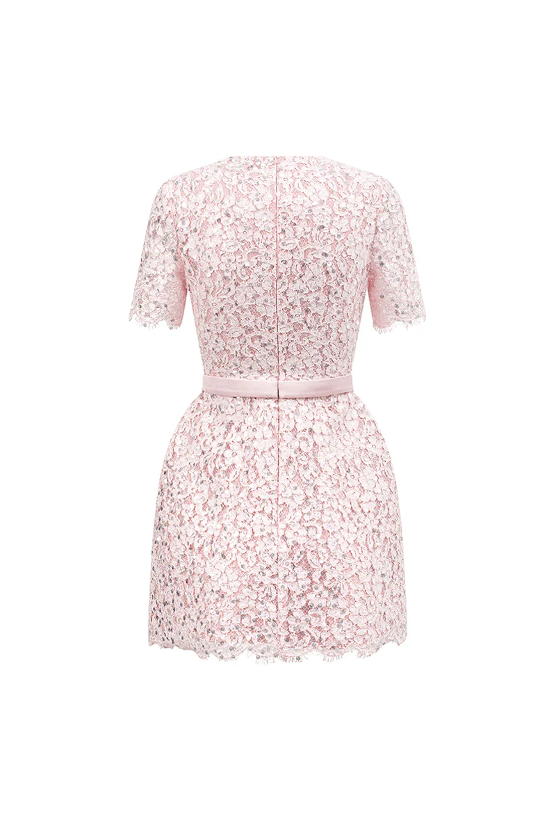 Gianna Regular Sleeve Lace Mini Dress