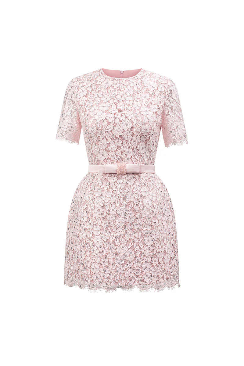 Gianna Regular Sleeve Lace Mini Dress