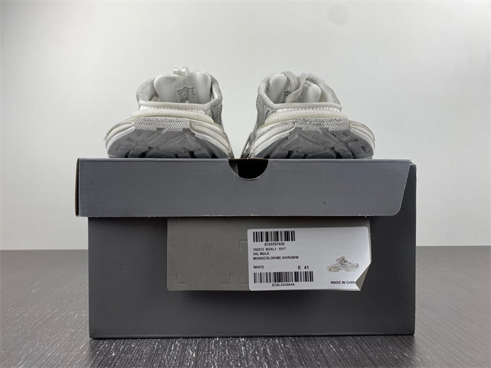 BLCG 742672 W3XL1 1017 detail 5