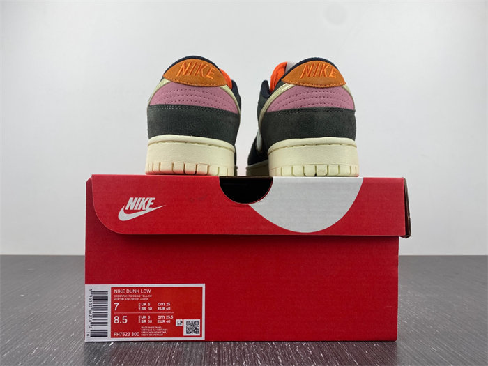 NK Dunk Low Rainbow Trout FH7523 300 detail 5