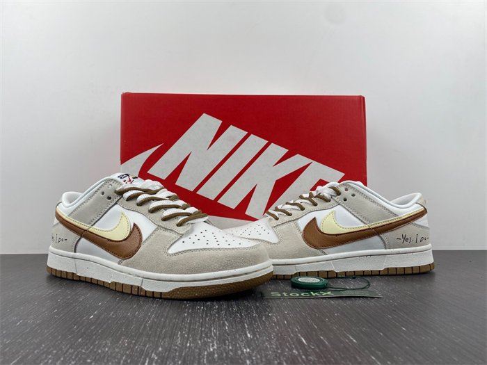 NK Dunk Low DO9457-100