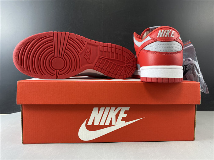NK Dunk Low SB CU1726-600 detail 6