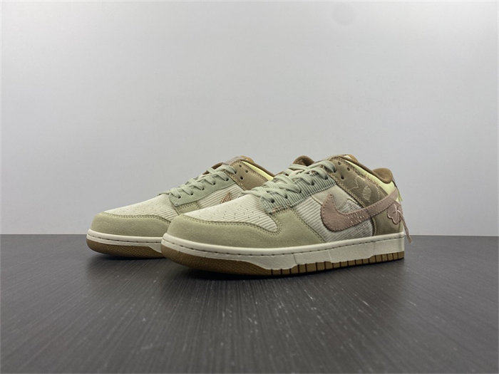 NK Dunk Low On the Bright Side DQ5076-121