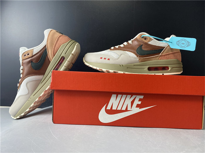 NK Air Max 1 Amsterdam CV1638-200 detail 2