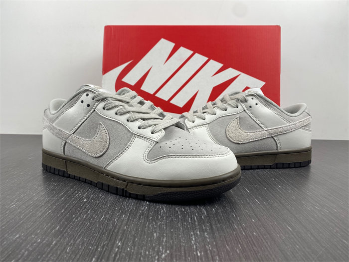 NK Dunk Low Ironstone FD9746-001