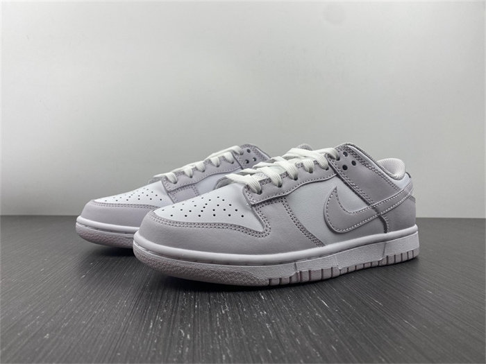 NK Dunk Low Venice DD1503-116