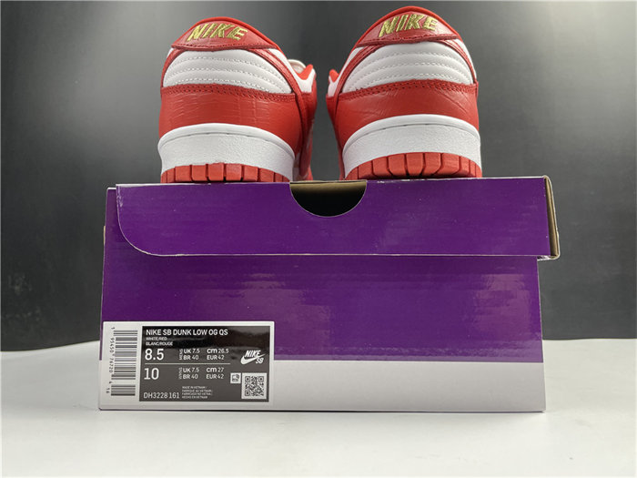 NK SB Dunk DH3228-161 detail 5