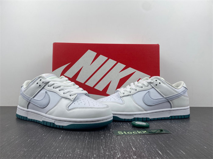 NK DUNK LOW 2023 FD9911-101