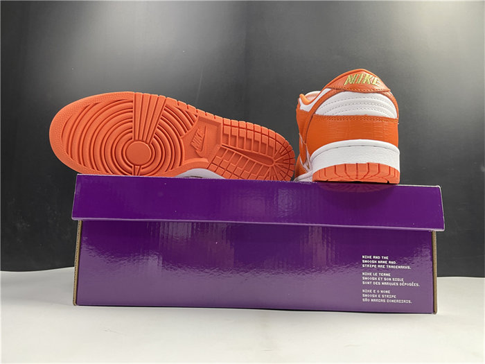 NK SB Dunk DH3228-181 detail 6