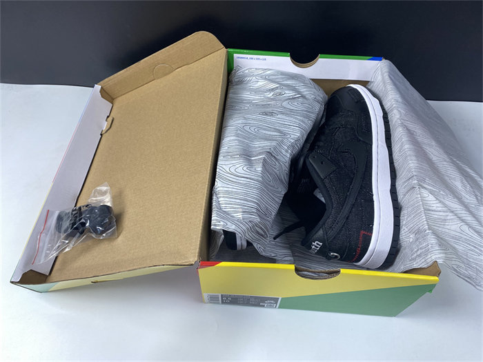 NK SB Dunk Low Wasted Youth DD8386-001 detail 7