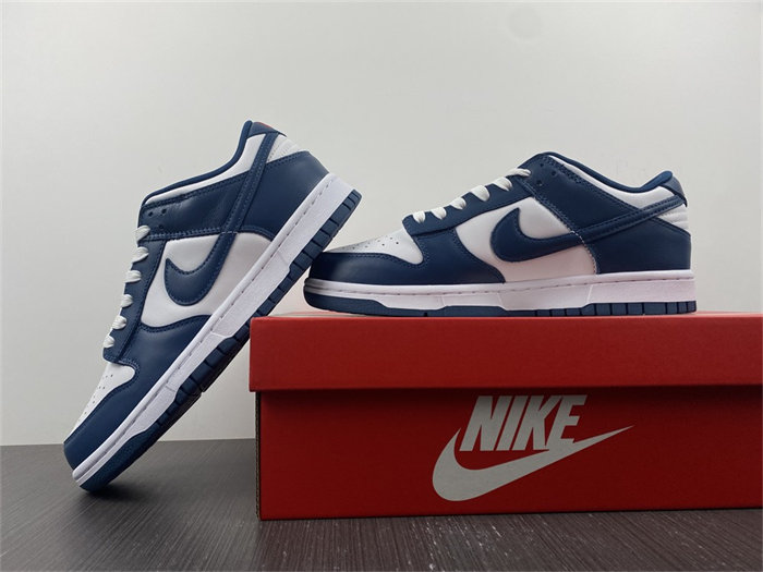 NK Dunk Low Valerian Blue DD1391-400 detail 2