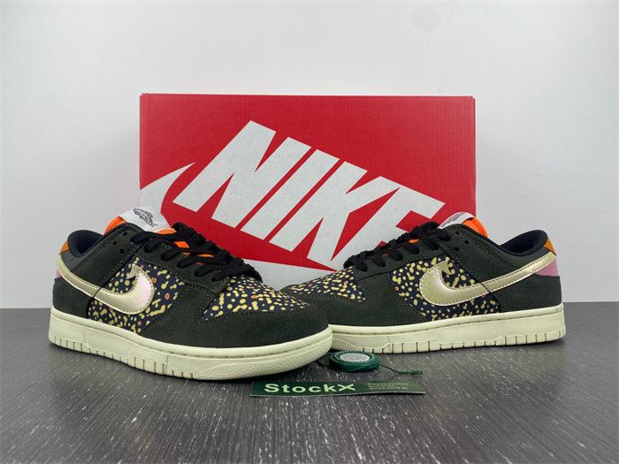 NK Dunk Low Rainbow Trout FH7523 300