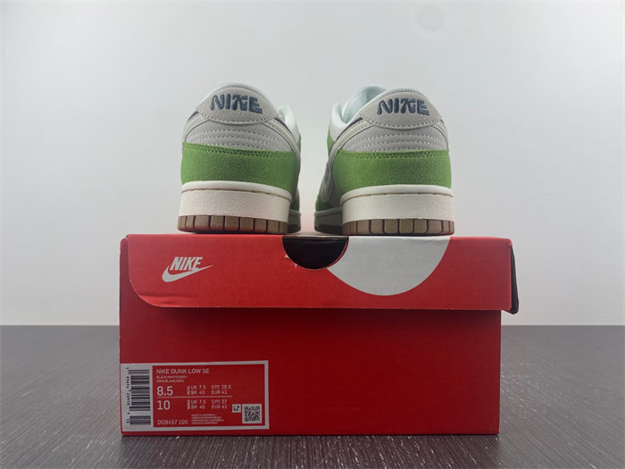 NK Dunk Low SE 85 DO9457-100 detail 5