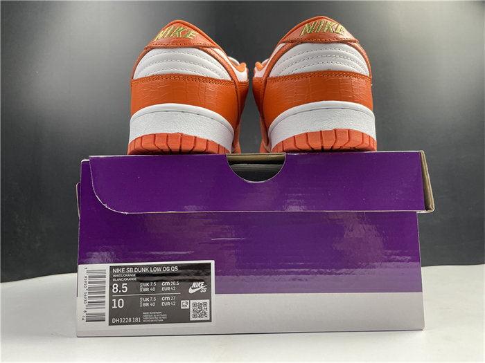 NK SB Dunk DH3228-181 detail 5