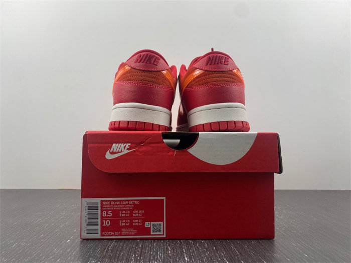 NK Dunk Low ATL FD0724-657 detail 5