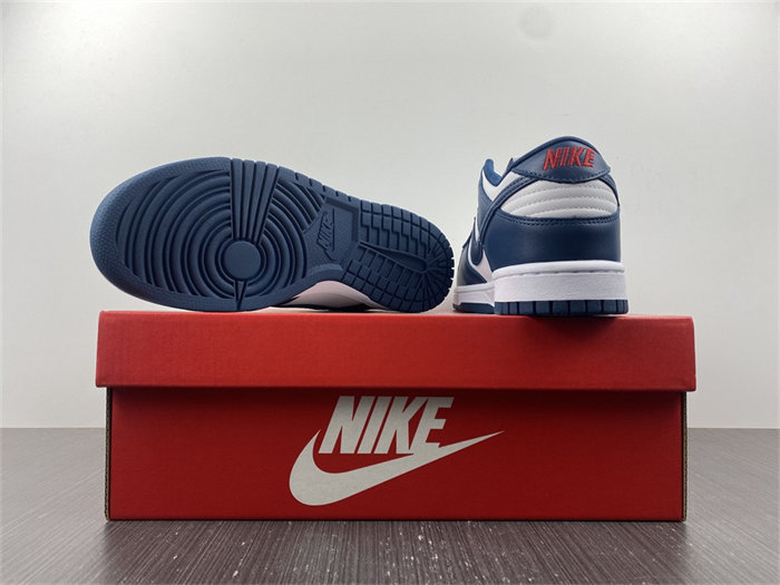NK Dunk Low Valerian Blue DD1391-400 detail 6
