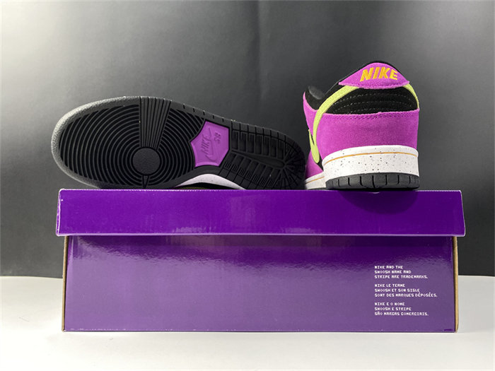 NK SB Dunk Low Pro ACG Terra Red Plum BQ6817-501 detail 6
