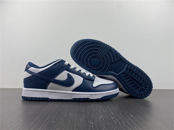 NK Dunk Low Valerian Blue DD1391-400 detail 3