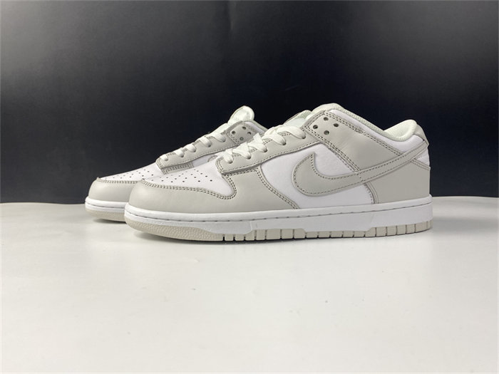 NK Dunk Low Photon Dust DD1503-103