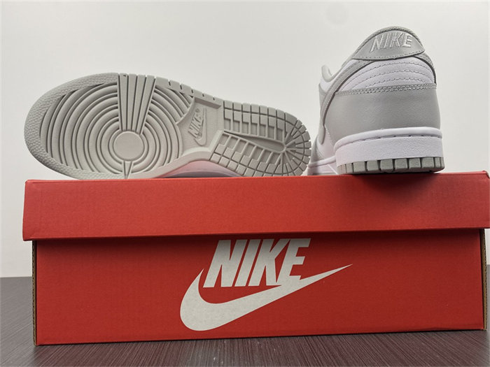 NK Dunk Low Grey Fog DD1391-103 detail 6