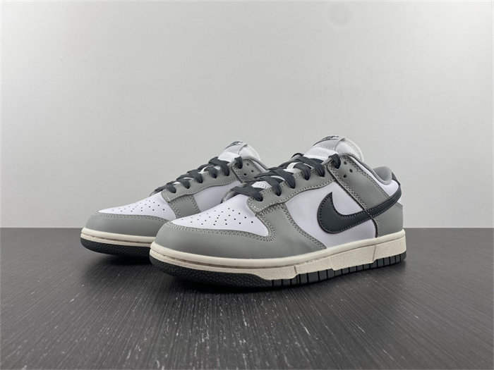 NK Dunk Low Light Smoke Grey DD1503-117