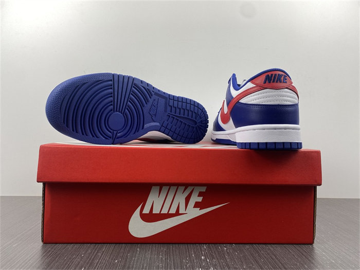NK Dunk Low USA DD1503-119 detail 6