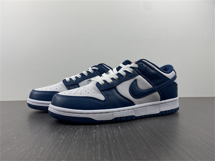 NK Dunk Low Valerian Blue DD1391-400