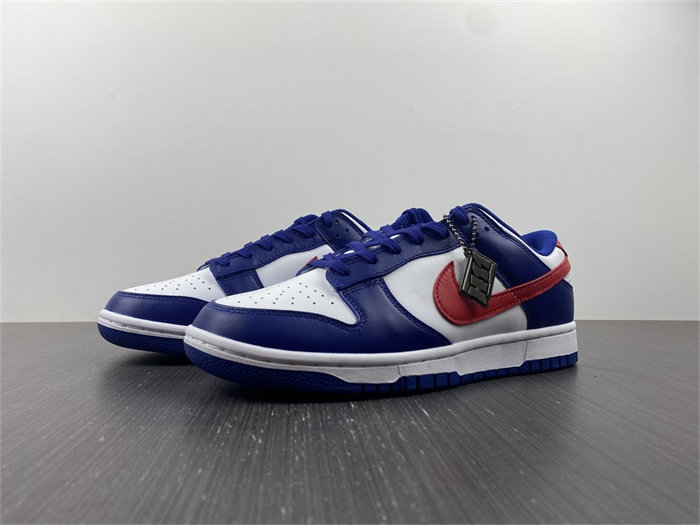 NK Dunk Low USA DD1503-119