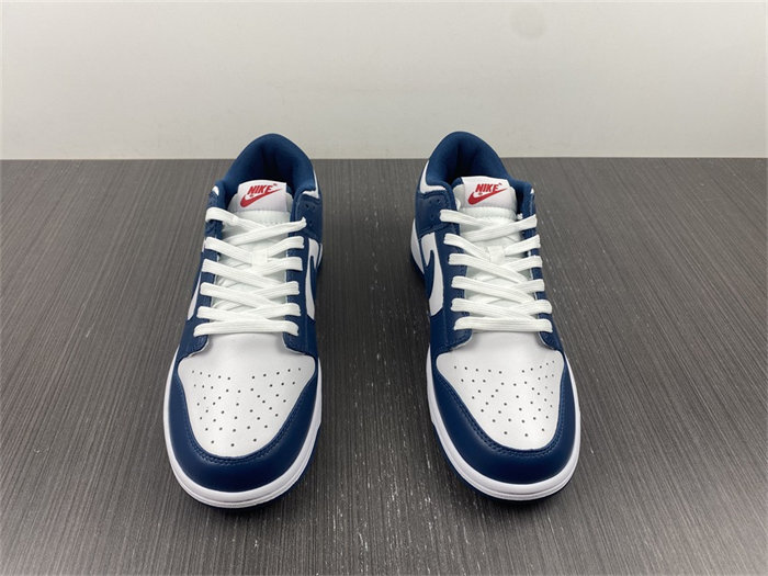NK Dunk Low Valerian Blue DD1391-400 detail 4