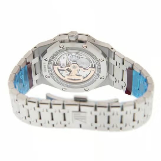 APS Watch Silver detail 3