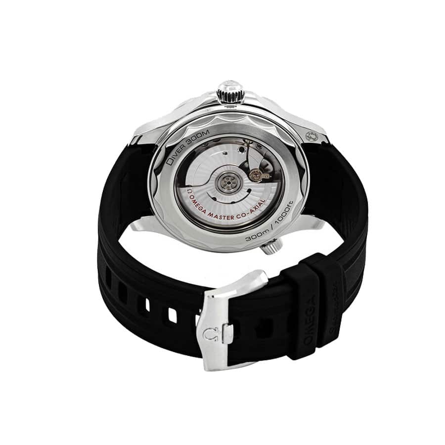 OMG Seamaster Master detail 3