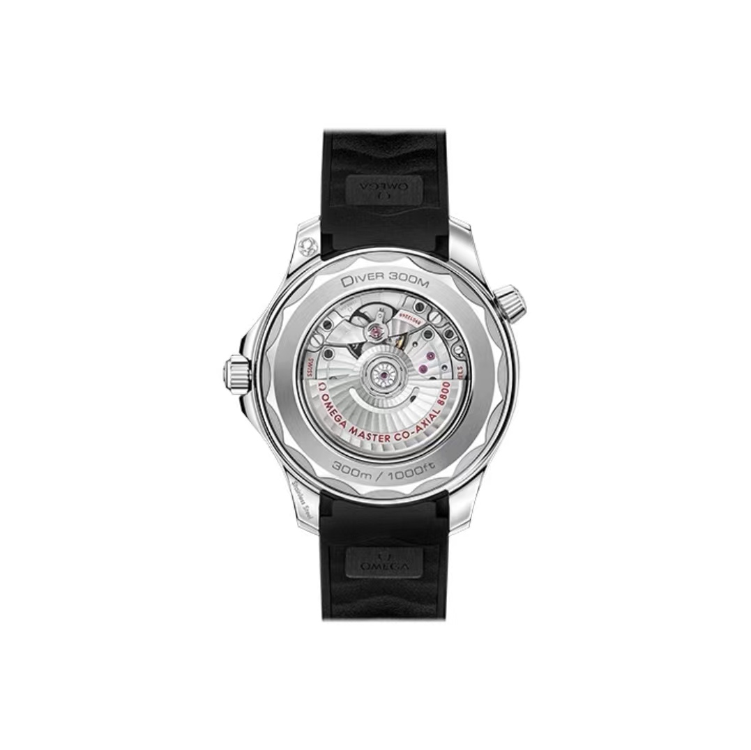 OMG Seamaster Master detail 4