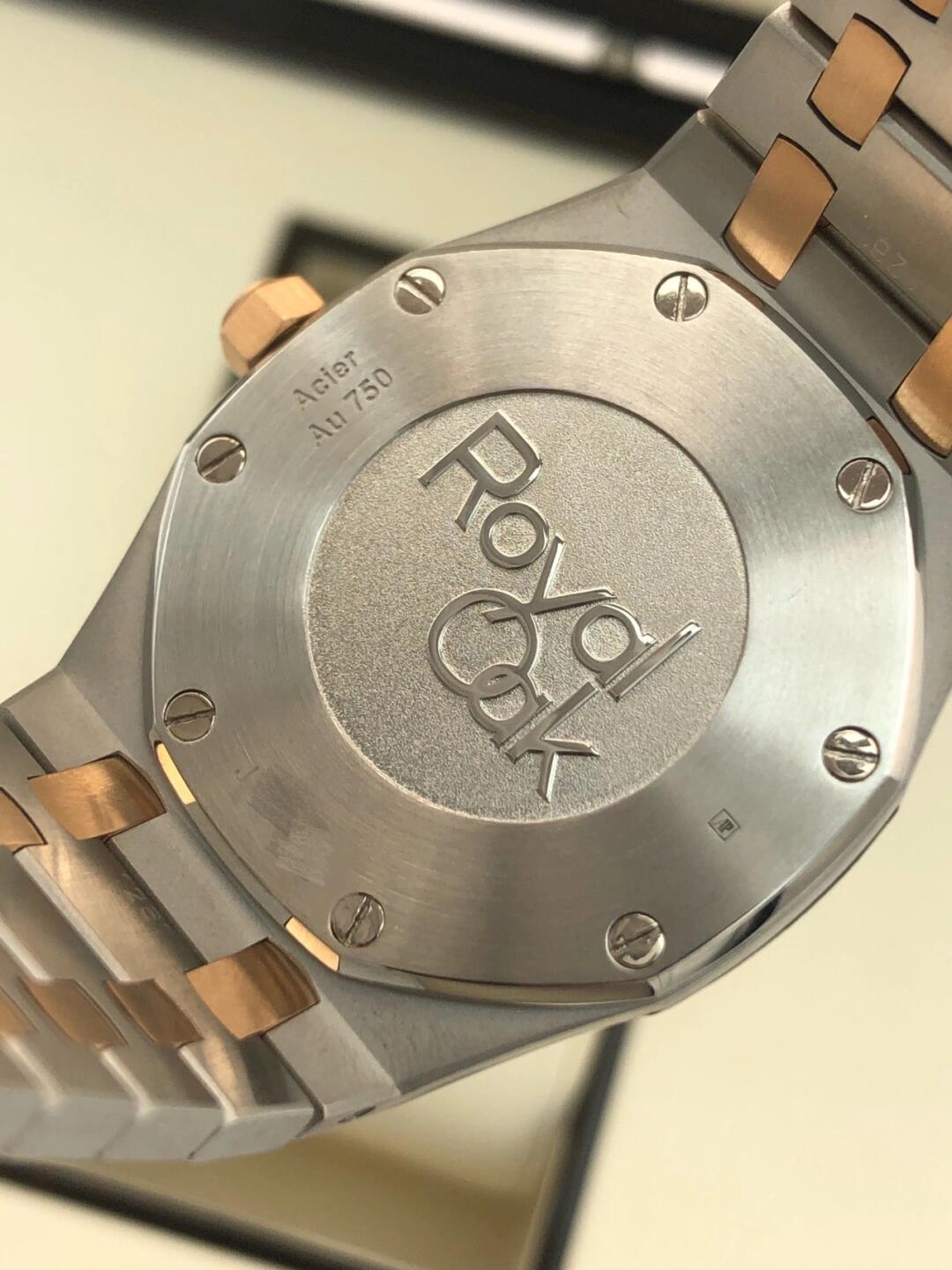 Two Tone APS Watch detail 3