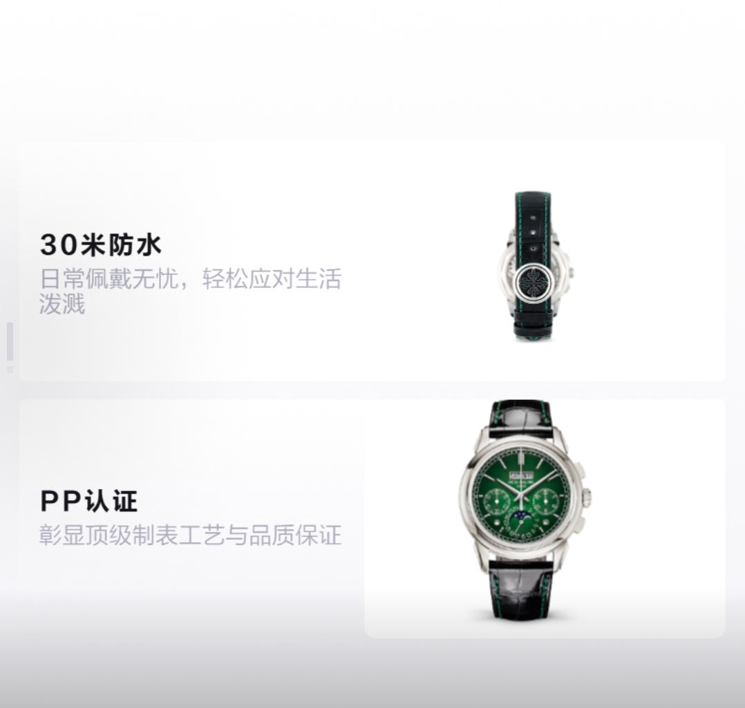 PP watch 41mm detail 4