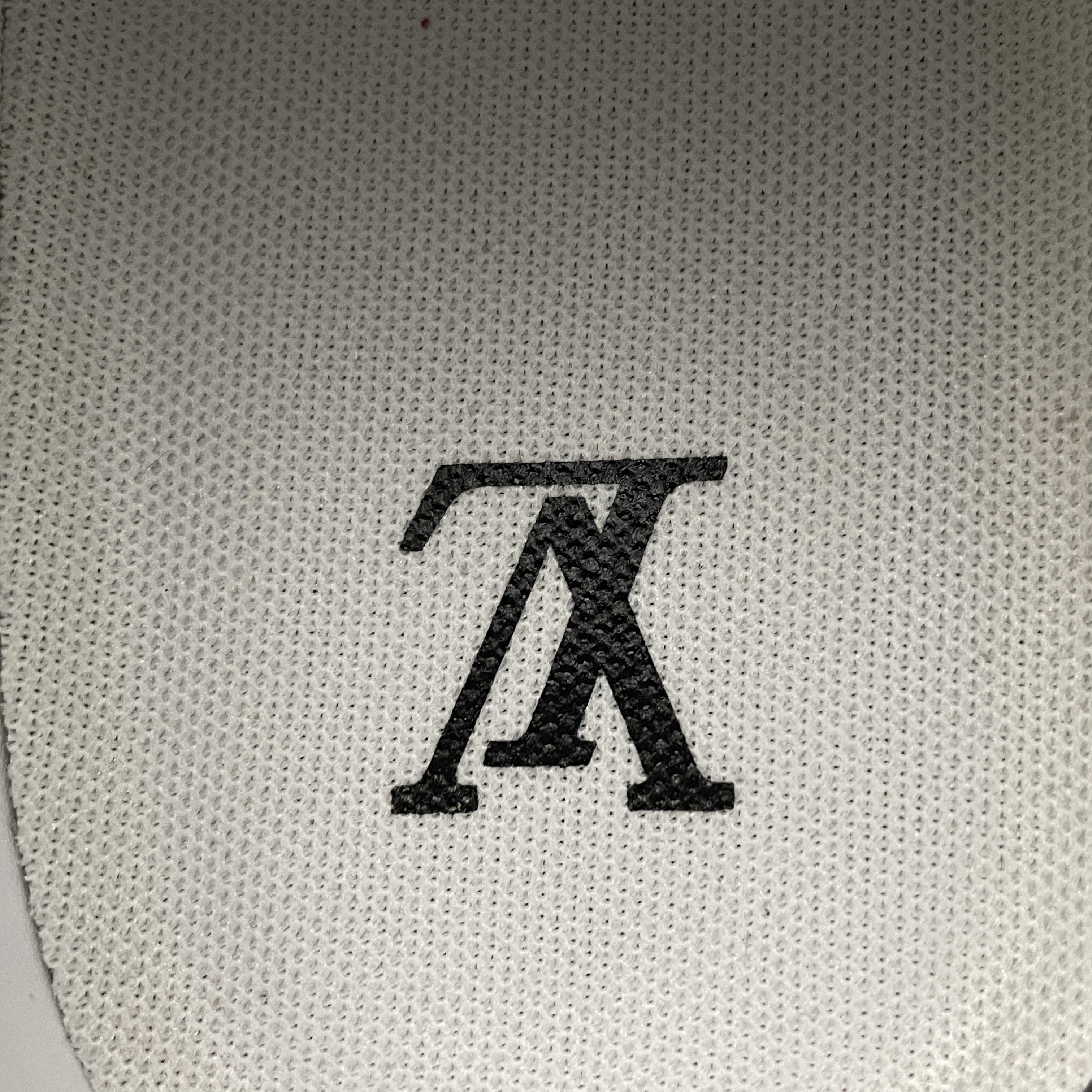 L X V Trainer detail 9
